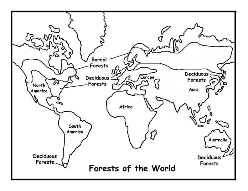 Forests of the World Coloring Page -- Exploring Nature Educational 