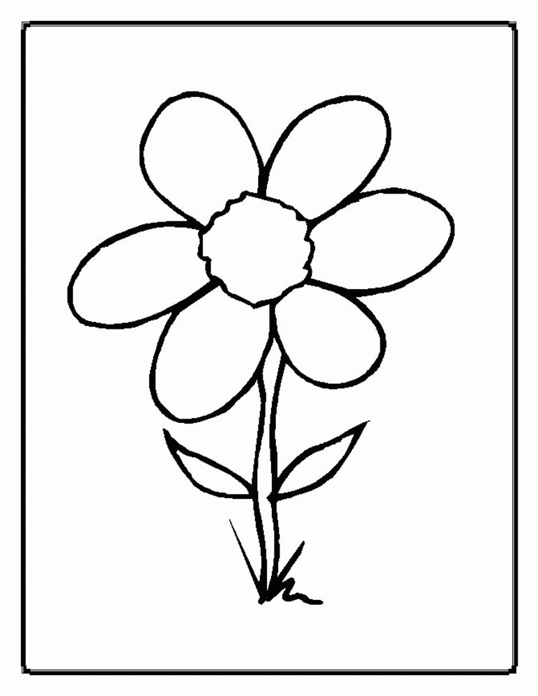 stages of flower Colouring Pages