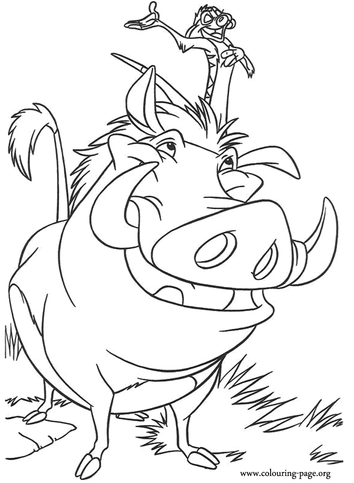 Lion King Timon And Pumbaa Coloring Page