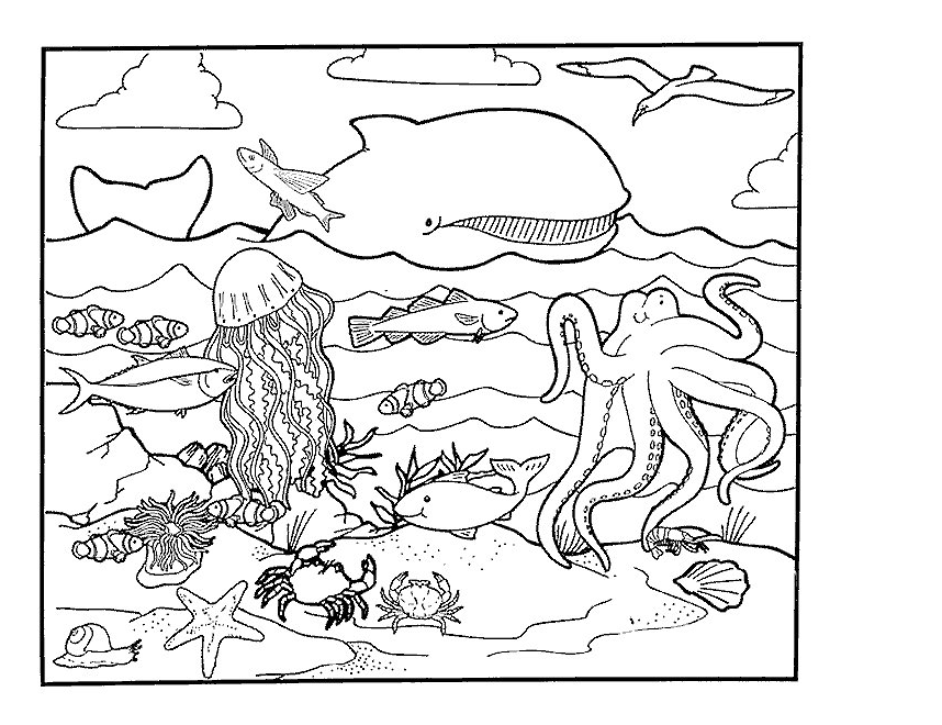 Sea Creatures Coloring Pages Kids Printable