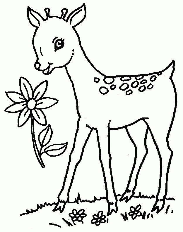 Animals Deer print coloring pages. 12