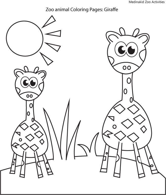 medinakids zoo animal coloring pages (giraffe)