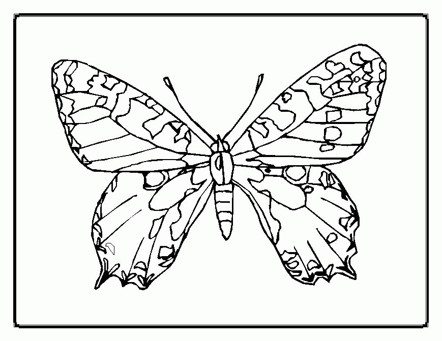 butterfly heart coloring pages : Printable Coloring Sheet ~ Anbu 