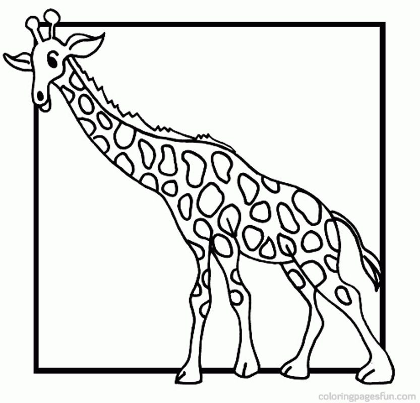 Giraffe | Free Printable Coloring Pages