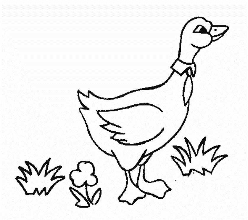 Download Goose Printable Animal Coloring Pages For Kids Or Print 