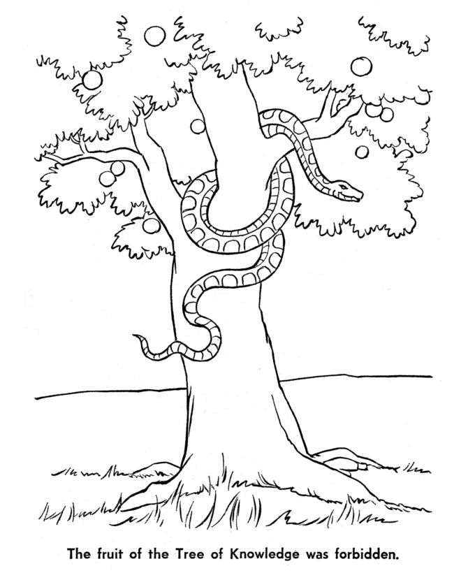 house collection labor day coloring page for sunday school