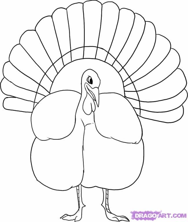 turkey drawing | Pictures - funny photo - free picture