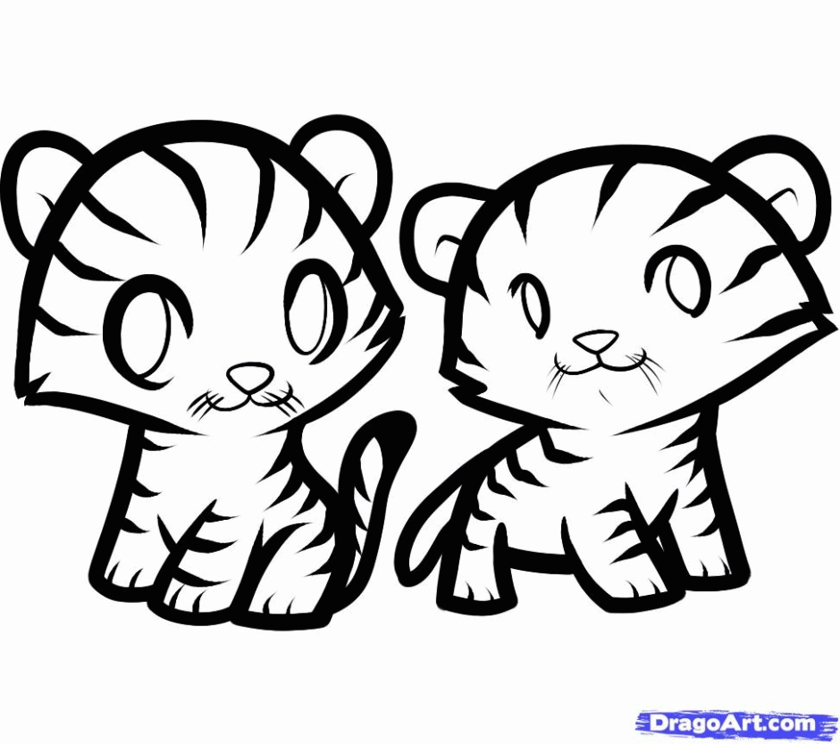Step 10 How To Draw Tigers For Kids 294875 Saber Tooth Tiger 