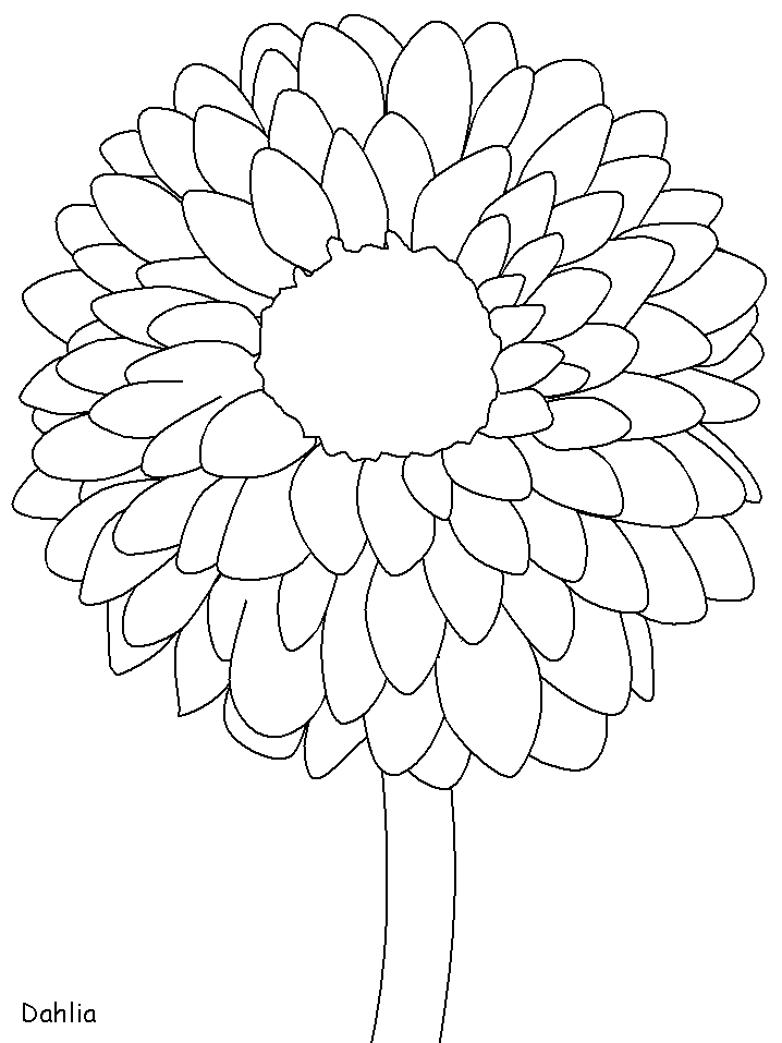 Printable Mexico Dahlia Countries Coloring Pages 