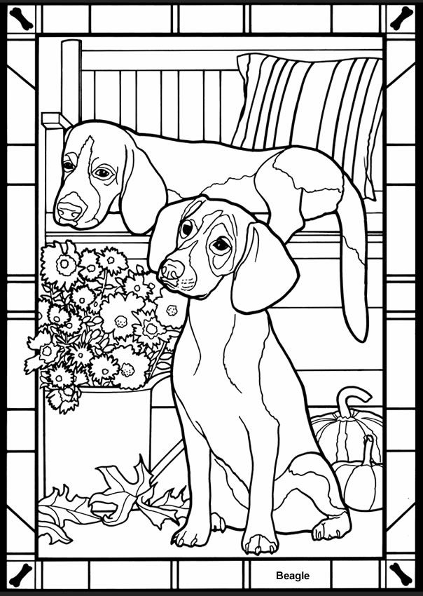 thanksgiving color page holiday coloring pages plate