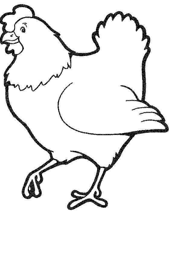 Chicken Coloring Pages | 101ColoringPages.