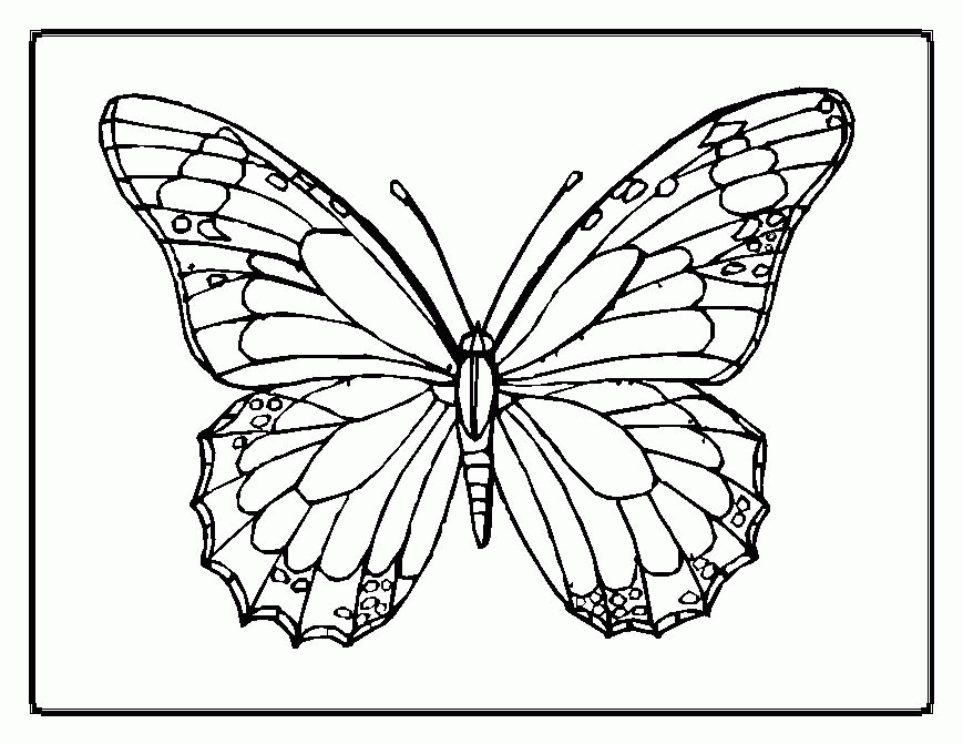 cute printable butterfly colouring pages for kids - Coloring Point