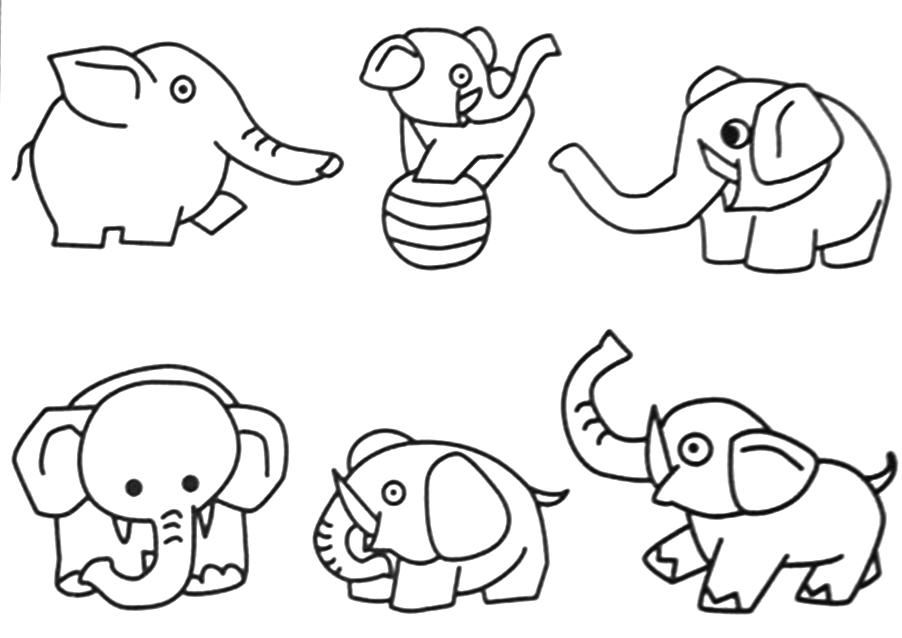 Animal Coloring Jungle Coloring Pages: Coloring Pages Of Jungle 