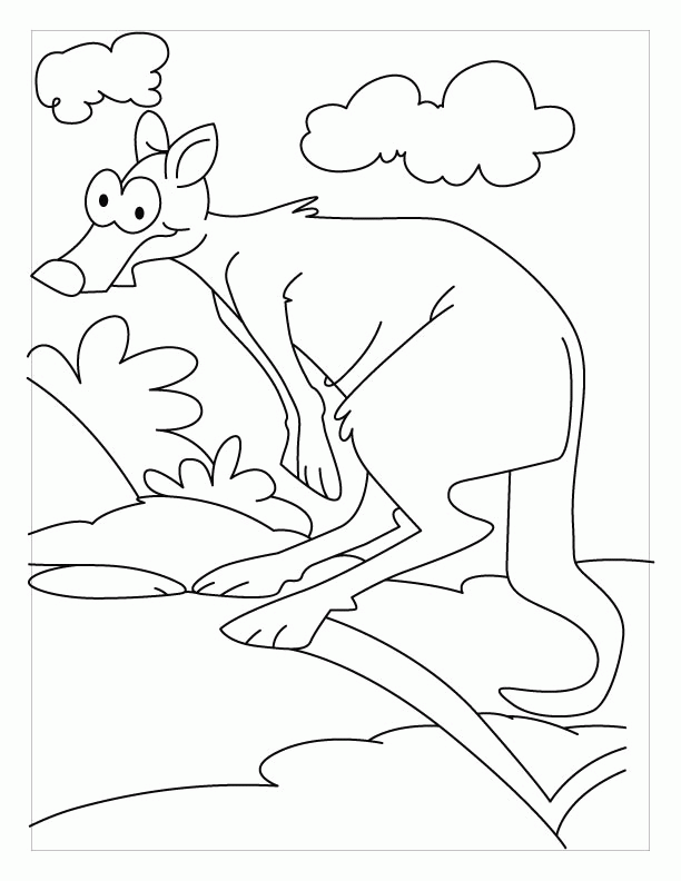 Kangaroo express coloring pages | Download Free Kangaroo express 