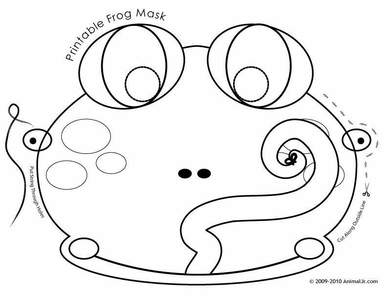 Pin by Kelli Newman on Frog theme