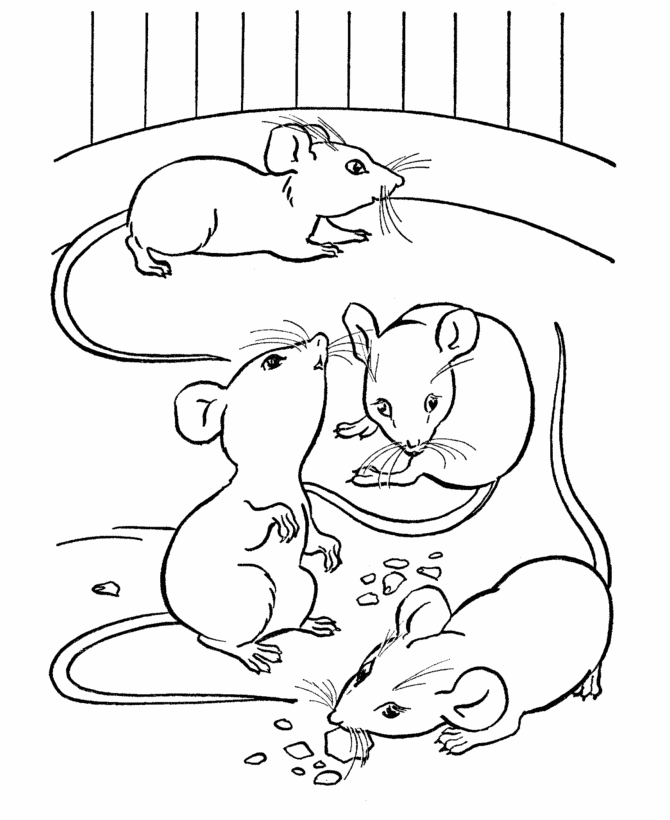 Pin by Jenny Shane on Coloring Pages
