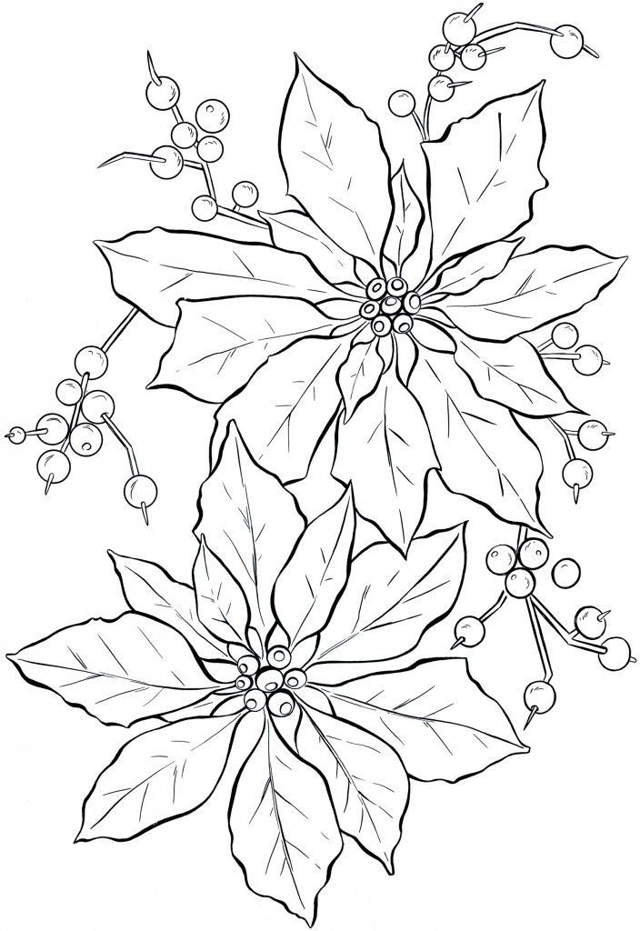 Poinsettia Line Art - Christmas