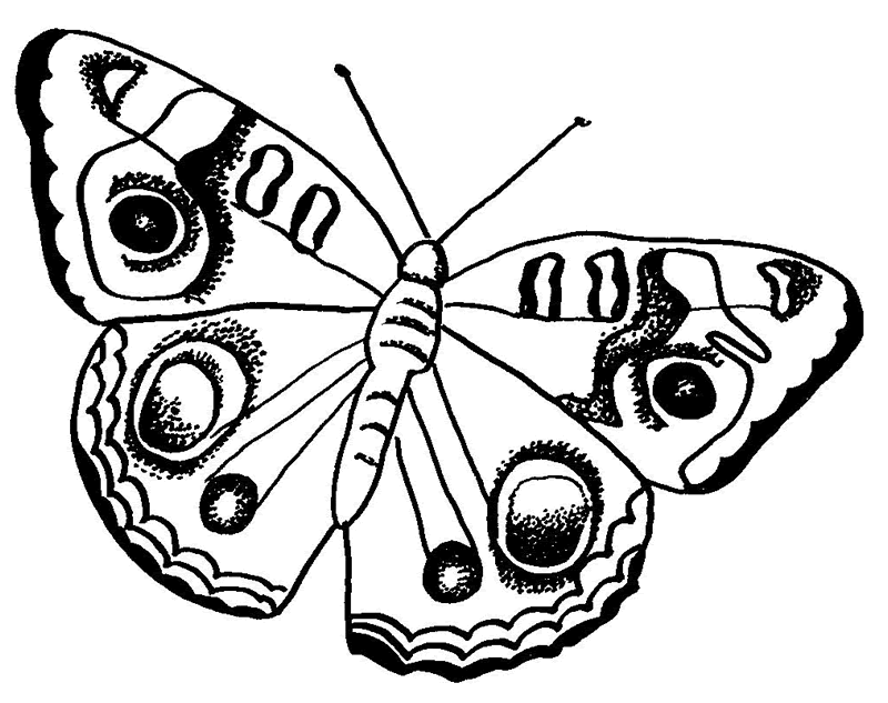 Kids Coloring Butterfly Coloring Pages Butterfly Monarch Coloring 