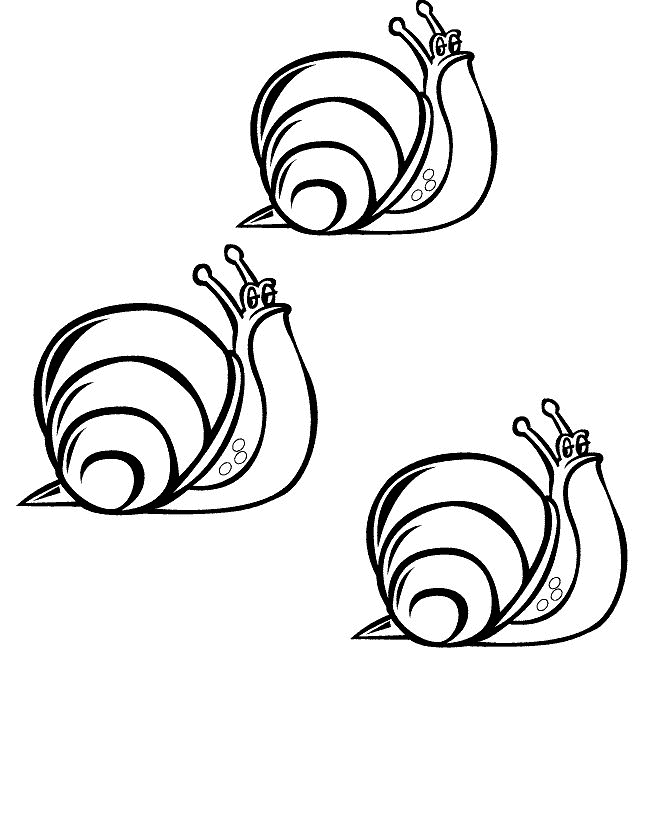 Coloring Page - Snail animal coloring pages 14