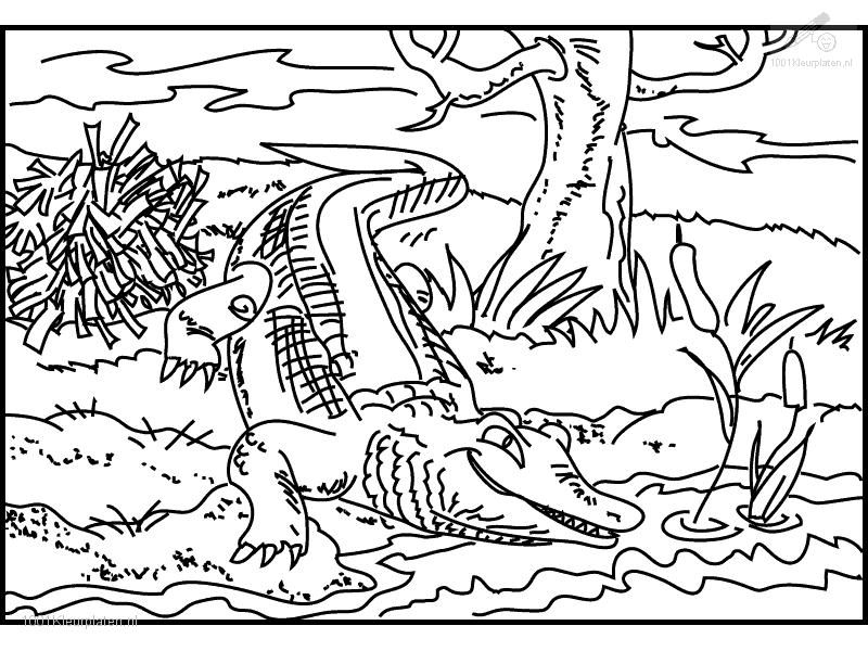 Crocodile Coloring Page | Coloring Pages