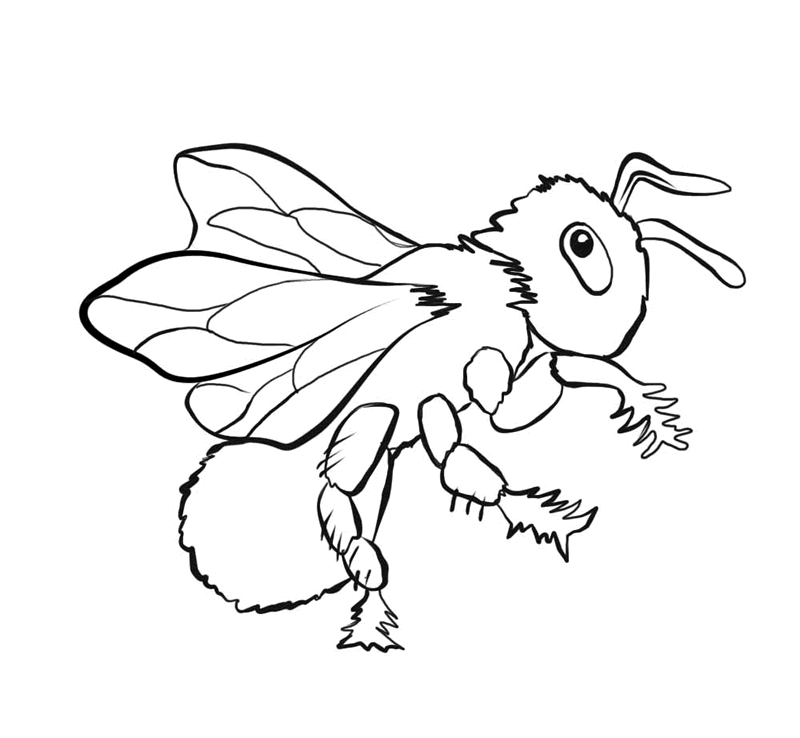 Free Printable Bug Coloring Pages For Kids