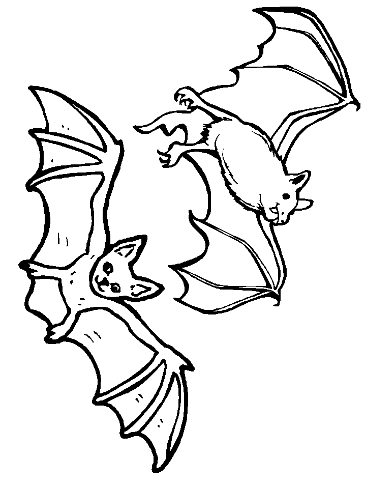 Coloring Pages Of Bats For Halloween
