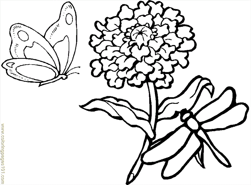 printable coloring page flower pages dragonfly natural