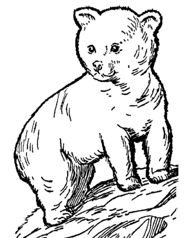 Abc Animal Coloring Pages 757 | Free Printable Coloring Pages