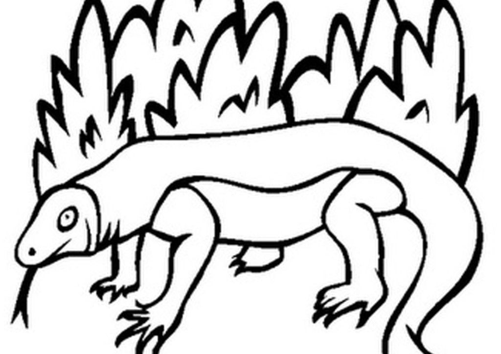 Newest Coloring Pages Of Komodo Dragon In Bushes High Res 