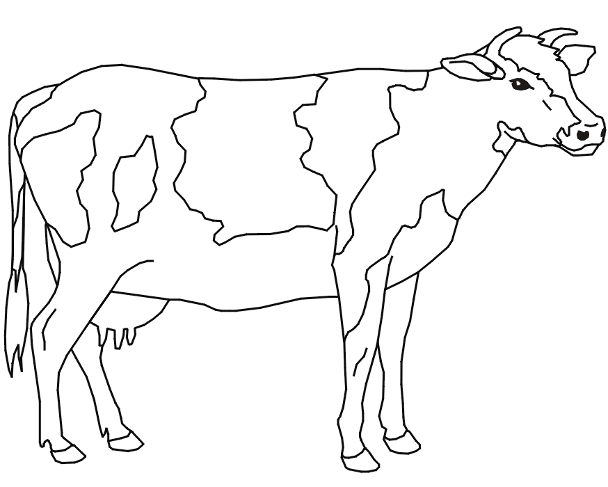 big Cow Coloring Pages for kids | Great Coloring Pages