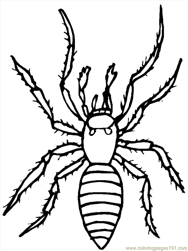 Spider Halloween Coloring Pages 230 | Free Printable Coloring Pages
