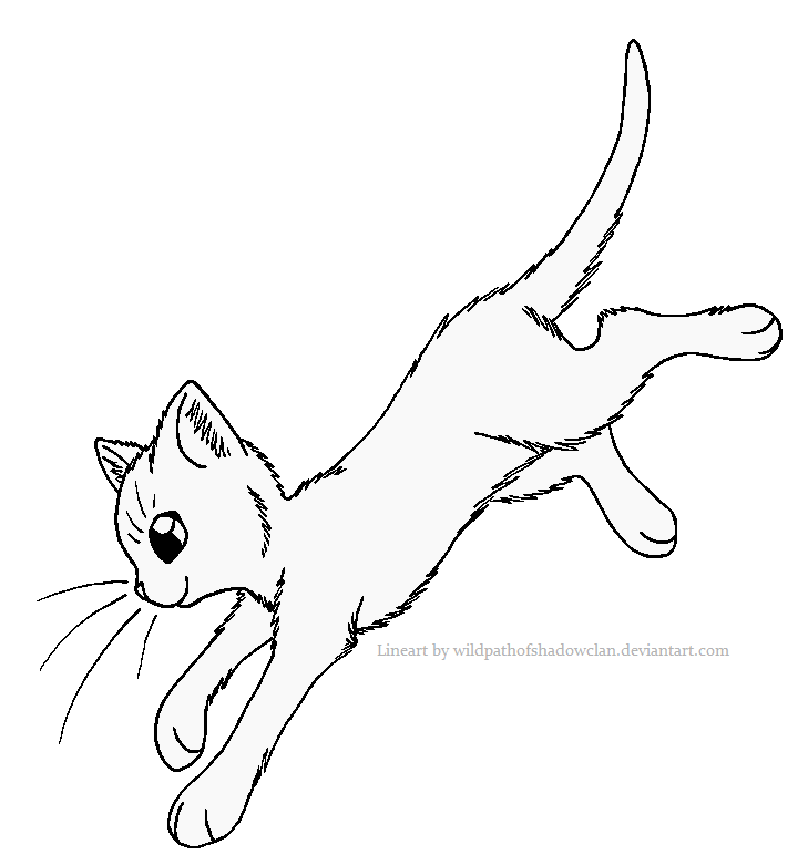 CAT LINEART!