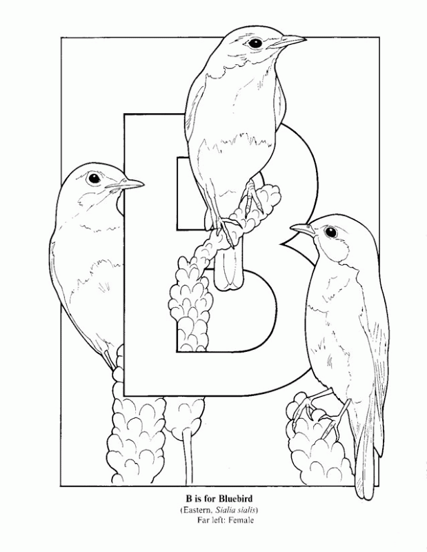 Coloring Pages For Letter B | Top Coloring Pages