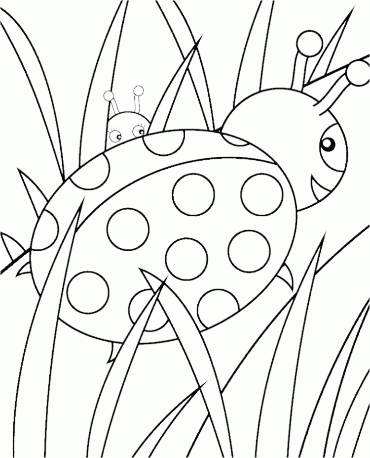 Printable Ladybug Coloring Pages - Animal Coloring Coloring Pages 