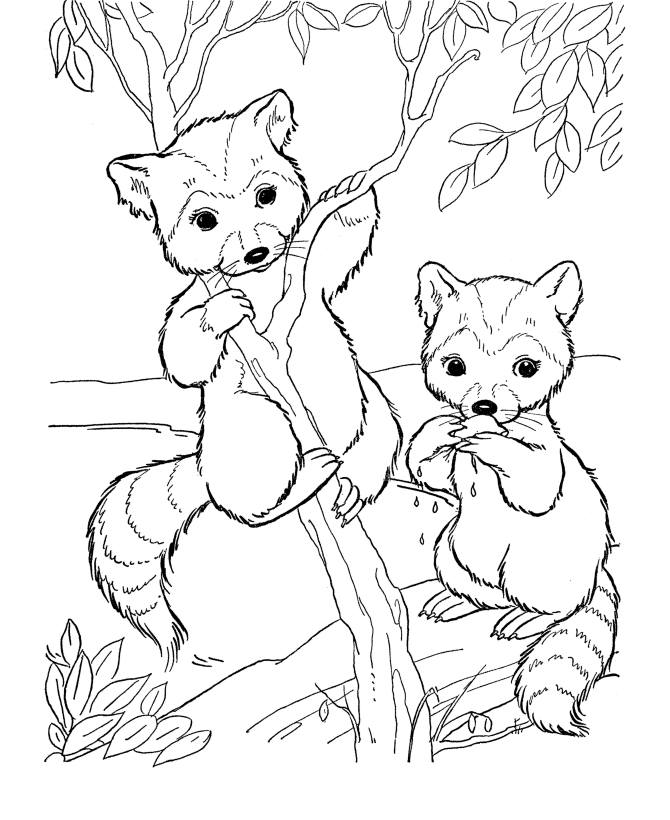 Wild Wild Wubsy Coloring Pages - Free Printable Coloring Pages 