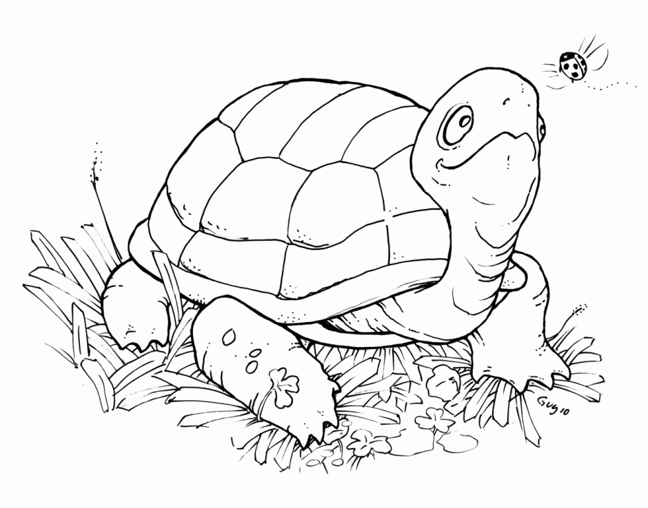 Ninja Turtle Coloring Pages For Kids Ninja Turtles Coloring Pages 