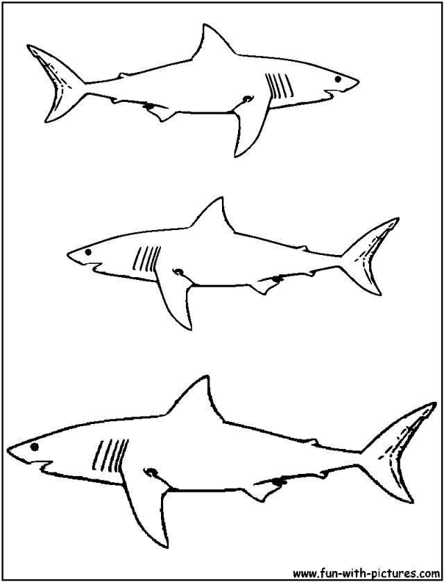 Shark Coloring Pages Coloring Book Area Best Source For Coloring 