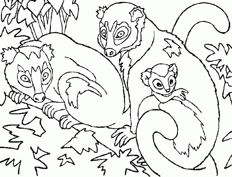 Monkeys Coloring Pages 8 | Free Printable Coloring Pages 