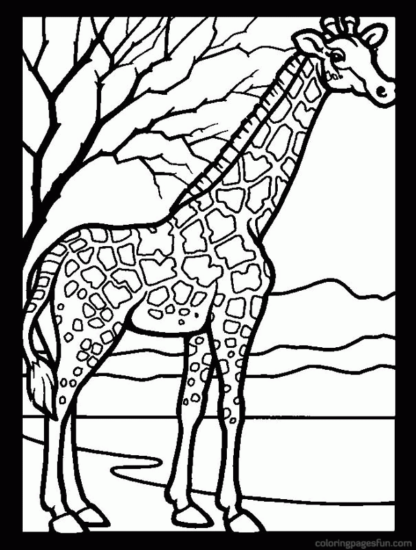 Giraffe | Free Printable Coloring Pages – Coloringpagesfun.