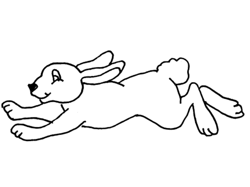 Rabbits Colouring Pages- PC Based Colouring Software, thousands of 