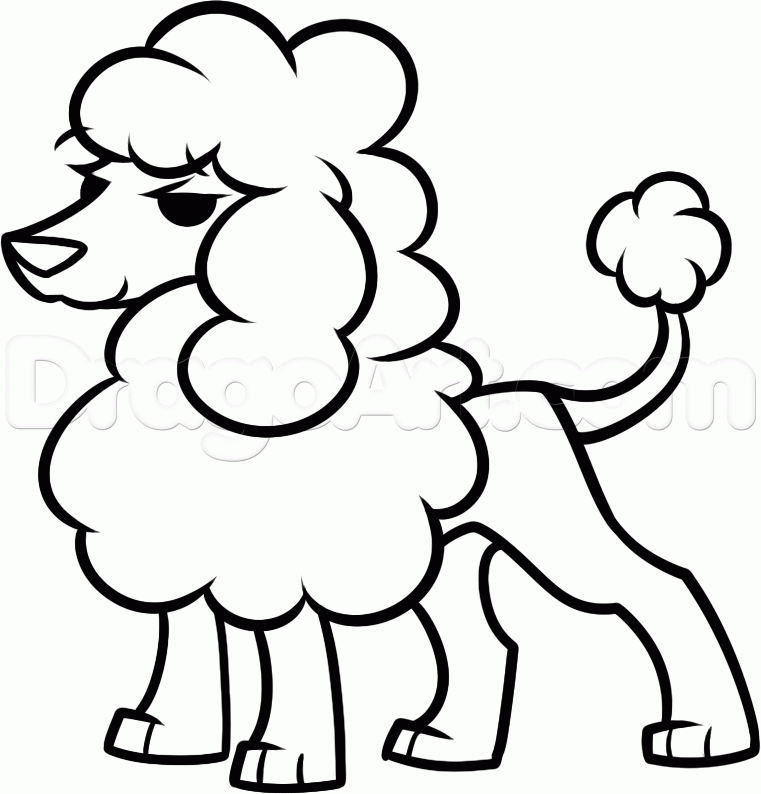 How to Draw a Toy Poodle, Step by Step, Pets, Animals, FREE Online 