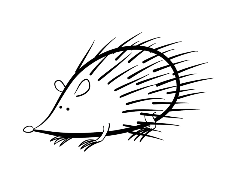 Hedgehog coloring page | ColorDad