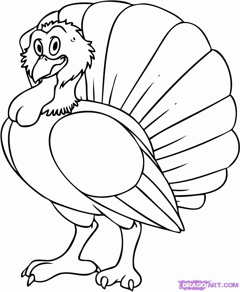 How to Draw a Cartoon Turkey, Step by Step, Cartoon Animals 