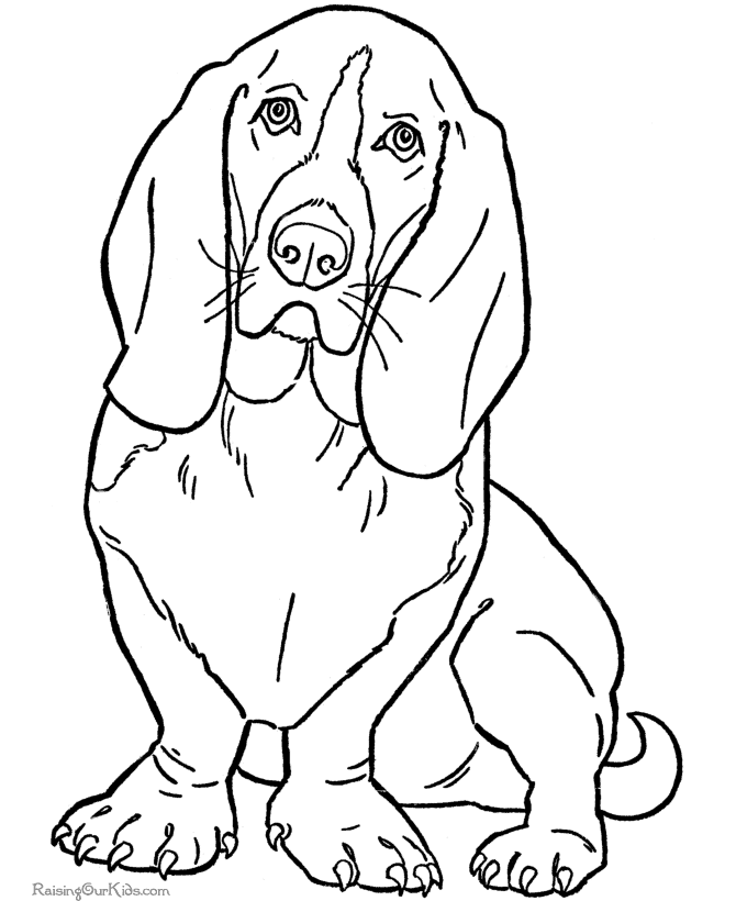 Meet The Vet Kids And Pets Coloring Pages Pinterest : Pet Coloring 