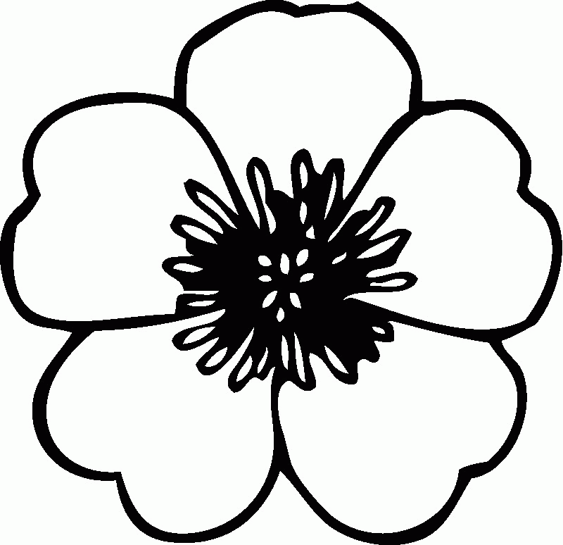 Printable Coloring Pages Flowers | Flowers Coloring Pages | Kids 