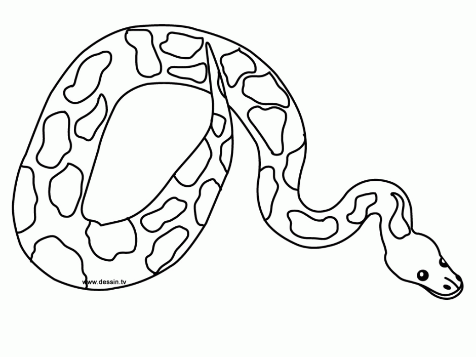 Realistic Coloring Pages Snakes Hagio Graphic 37565 Snake Coloring 