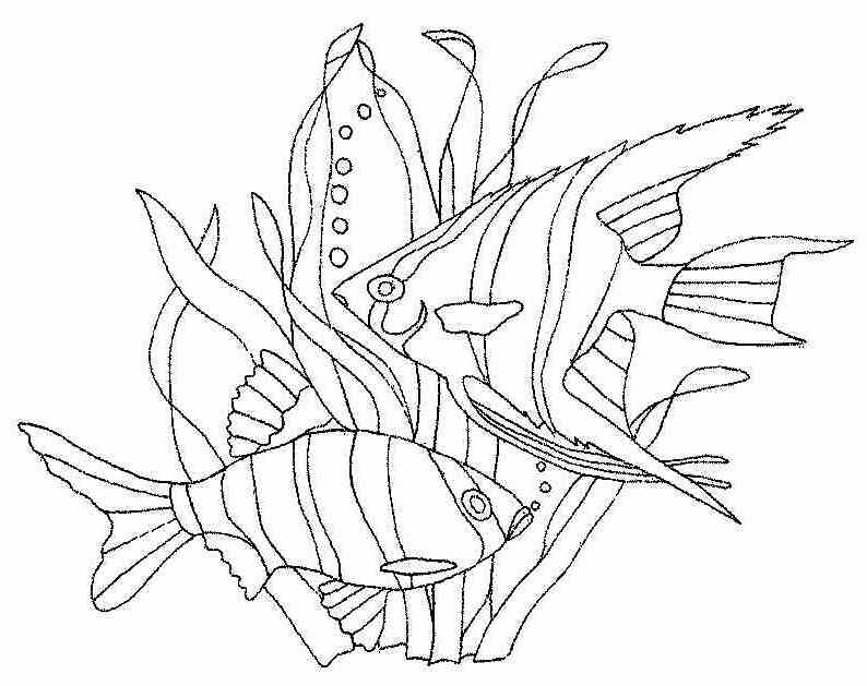 nature images Colouring Pages