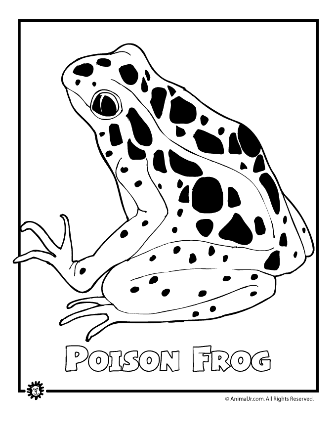 9 Most Endangered Rainforest Animals Coloring Pages | Animal Jr.