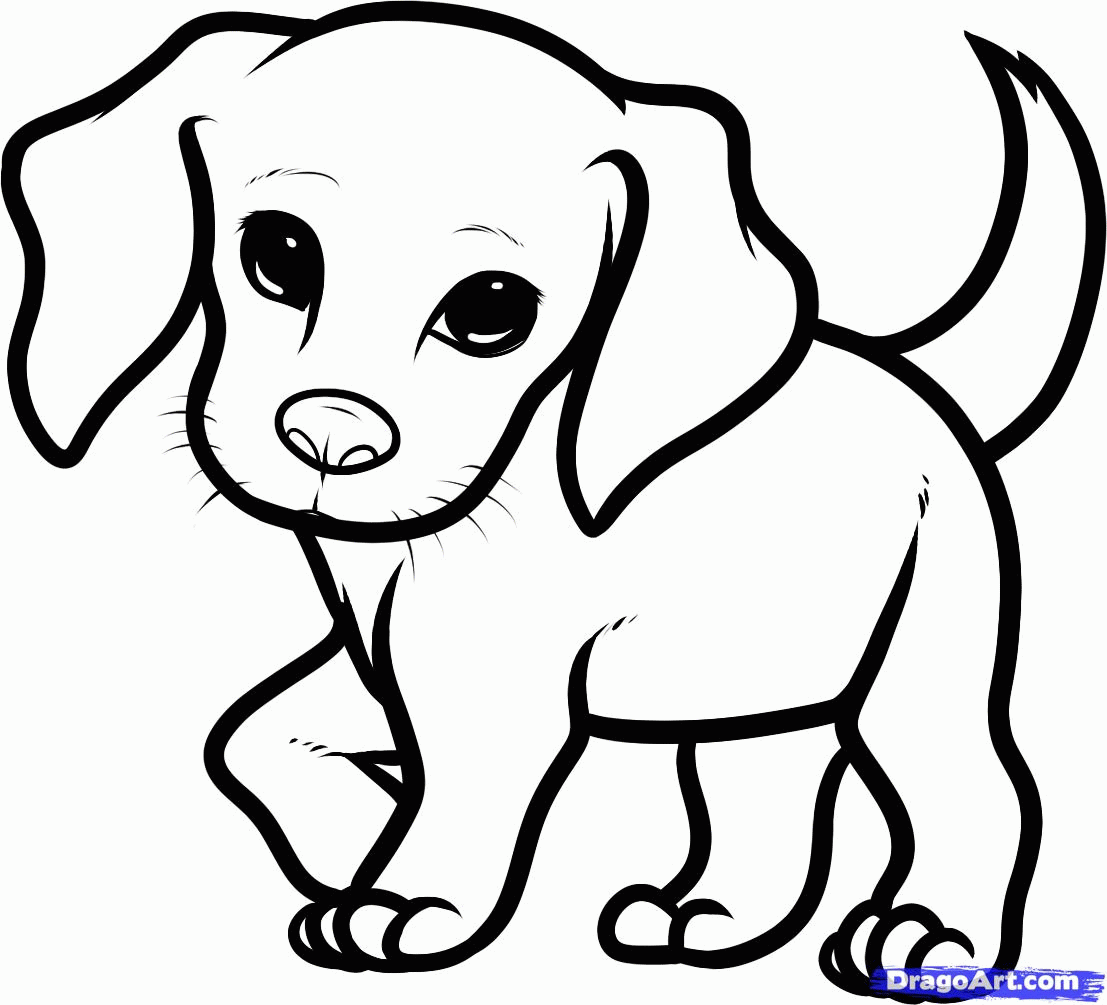 How to Draw a Beagle Puppy, Beagle Puppy, Step by Step, Pets ...