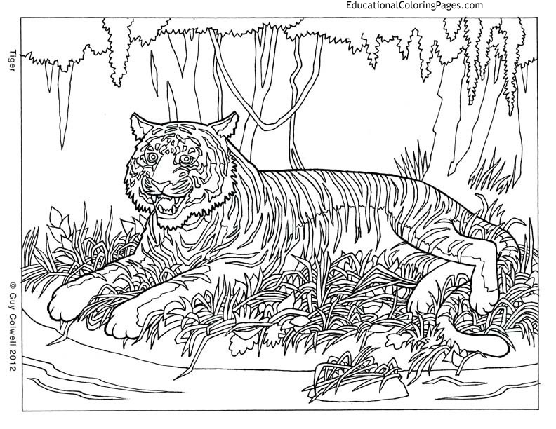 Hard Coloring Pages Animals